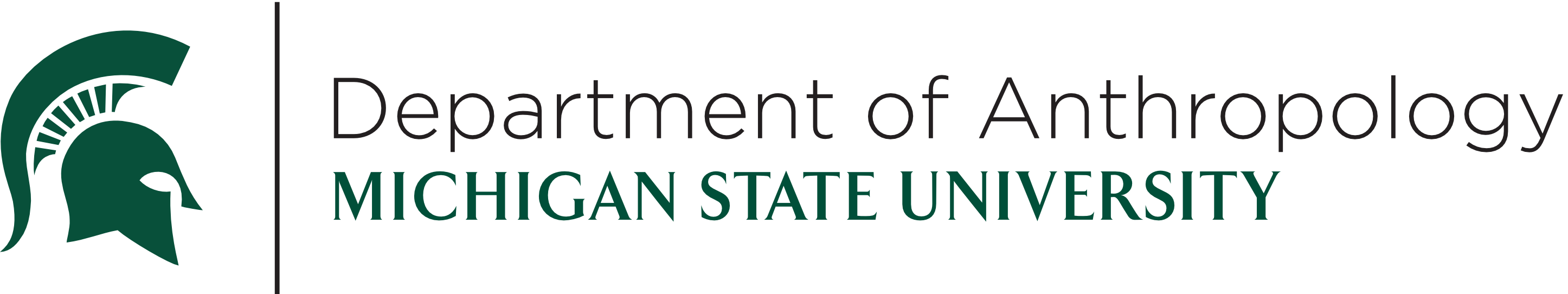 ANP Logo
